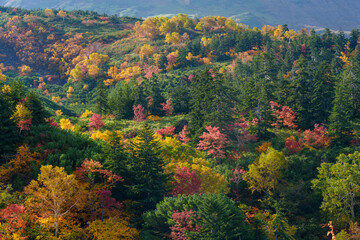 Autumn Colors on Tokachidake Volcano Seen from Ryounkaku Hot Spring, Kamifurano, Hokkaido