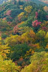 Autumn Colors on Tokachidake Volcano Seen from Ryounkaku Hot Spring, Kamifurano, Hokkaido