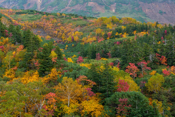 Autumn Colors on Tokachidake Volcano Seen from Ryounkaku Hot Spring, Kamifurano, Hokkaido