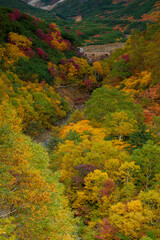 Autumn Colors on Tokachidake Volcano Seen from Ryounkaku Hot Spring, Kamifurano, Hokkaido
