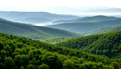 Obraz premium A majestic panoramic view of rolling hills and lush green forests, inviting serenity and natural beauty