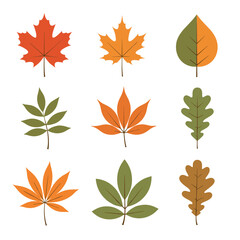 A collection of autumn leaves in various colors and shapes representing seasonal change and natural beauty.