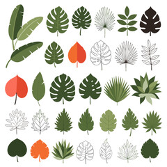 A collection of tropical plant leaves with various shapes and colors.