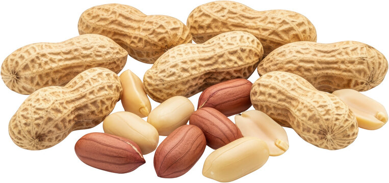 A close up view of a pile of whole peanuts in their shells and shelled peanuts isolate in shell legume snack food raw organic healthy protein crunchy natural