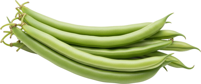 A cluster of fresh green beans with prominent stems showcasing their smooth texture and vibrant color isolate vegetable produce healthy organic food nutrition