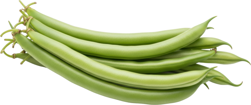 A cluster of fresh green beans with prominent stems showcasing their smooth texture and vibrant color isolate vegetable produce healthy organic food nutrition