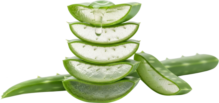 Stacked slices of fresh aloe vera plant showing translucent gel and leaves with water droplets isolate green succulent leaf natural organic health healing