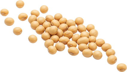A Scattered Pile Of Round Light Brown Soybeans On A Transparent Background Isolate Legume Raw Seeds Food Ingredient Agriculture Protein Healthy Organic Natural