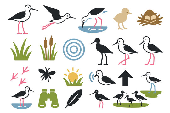 Stilt Birdwatching and Nature Icon Set with Birds, Nest, and Binoculars