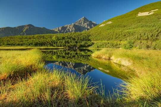 View of the majestic mountain reflecting on the calm lake surrounded by lush greenery under a clear blue sky, Biele pleso tarn, Vysoke Tatry, Presovsky kraj, Slovakia.