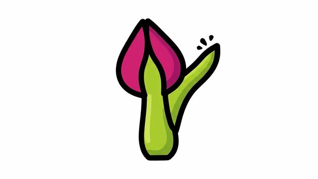 Animated pink tulip bud growing sequence, cartoon-style flower blooming animation process