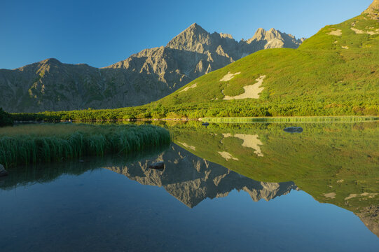 View of jagged peaks mirrored in the still lake waters, contrasting with the verdant slopes, creating a serene alpine tableau, Vysoke Tatry, Biele pleso tarn, Presovsky kraj, Slovakia.