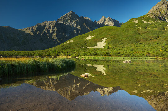 View of jagged peaks mirrored on the serene lake, lush greenery cascading down the slopes under a clear sky, Biele pleso tarn, Vysoke Tatry, Presovsky kraj, Slovakia.