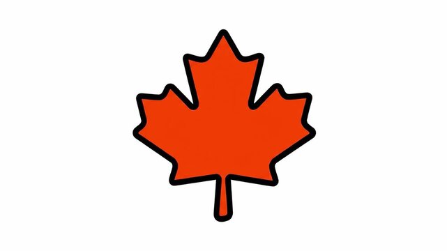 Animated Progression: Drawing and Filling a Maple Leaf with Red Color over a White Background