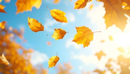 Golden autumn leaves falling from branches against a bright blue sky with sunlight