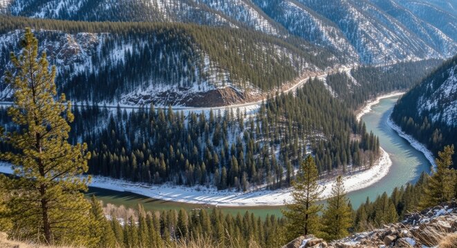 Scenic winter landscape of snowy forest and river, ideal for nature prints and environmental designs