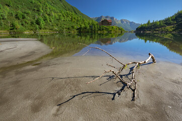 View of a serene lake mirroring lush green mountains and a cozy cabin, with a fallen branch resting on the sandy shore, Tatranska Javorina, Zelene pleso tarn, Presovsky kraj, Slovakia.