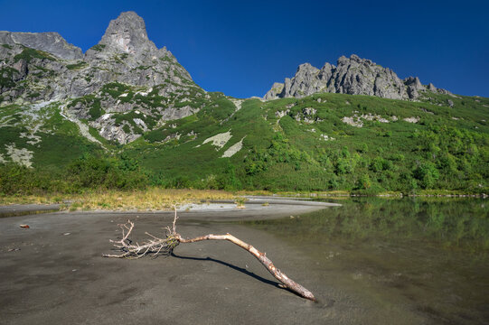 View of a fallen branch resting on the sandy shore of a calm lake reflecting the steep, rocky mountains under a clear sky, Zelene pleso tarn, Tatranska Javorina, Presovsky kraj, Slovakia. - Powered by Adobe