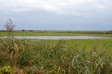 domaine de Beauguillot