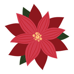 Vector illustration of Christmas red poinsettia flower with green leaves isolated on a white background. Festive traditional decoration.