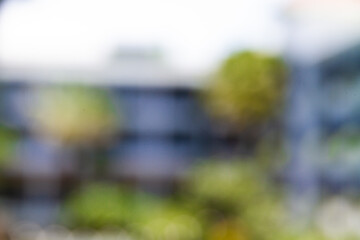 Blurred Modern Building with Green Trees in Urban Environment