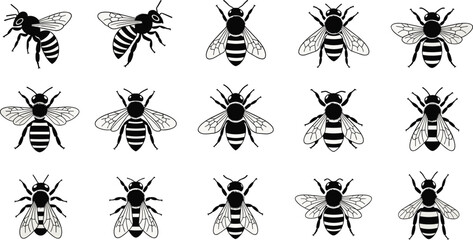 Bee illustrations, cartoon bees, realistic bees, wing variations, stripe patterns, insect vector, honeybee design, flying bees, cute bugs, nature clipart © farzana