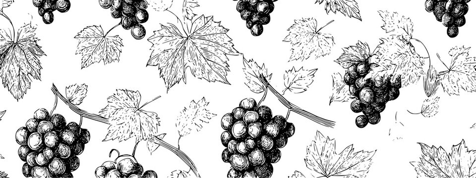 black and white seamless pattern with grapes and leafs vine brunch 