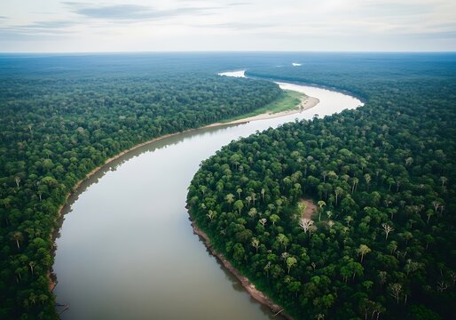 Aerial drone view of a winding river flowing through an expansive, dense green rainforest under a cloudy sky