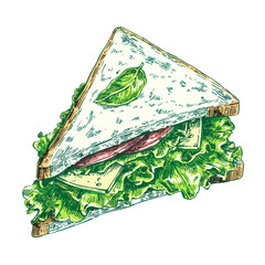 ham and cheese sandwich vector doodle style image 
