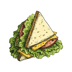ham and cheese sandwich vector doodle style image 