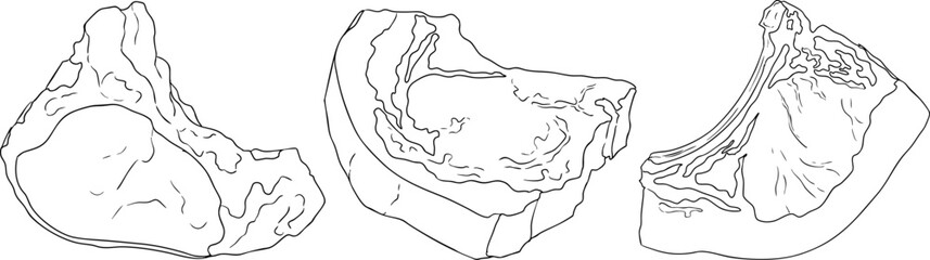 Line vector illustrations of various raw meat cuts, with detailed textures in realistic style