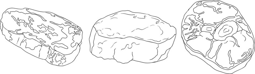 Line vector illustrations of various raw meat cuts, with detailed textures in realistic style
