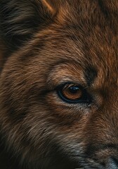 Detailed close-up of an animal's textured fur, providing warmth and camouflage in its wild, cold natural environment ,forest ,fluffy ,winter