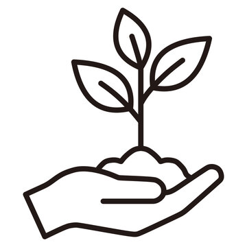 Tree Planting Icon