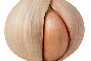 Garlic bulb showing individual clove in detail, common cooking ingredient, adding flavor to dishes, transparent background