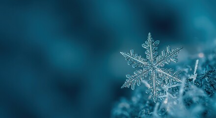 Detailed macro photograph showcasing the fragile, crystalline structure of a unique ice snowflake against a soft, wintry backdrop ,abstract ,pattern ,macro