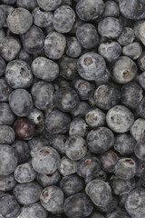 A full-frame, close-up view shows a dense, dark pile of fresh blueberries with a natural dusty bloom covering their surface