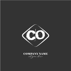 vector CO illustration of a logo for a company background abstract