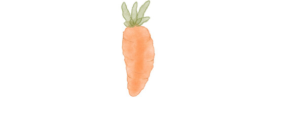 carrot 