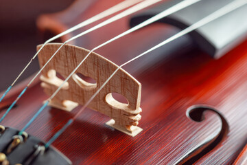 Detailed view of wooden bridge and strings on a polished violin body showcasing craftsmanship and fine texture in musical instrument construction