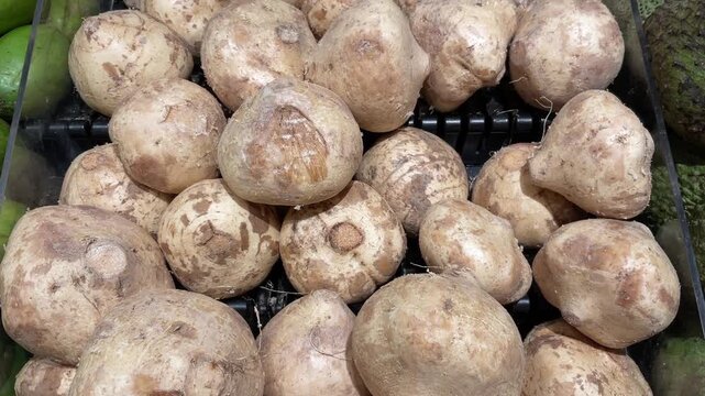 Pachyrhizus erosus, commonly known as jicama although the name most commonly refers to the plant's edible tuberous root. The flavor is sweet and starchy, reminiscent of some apples or raw green beans,