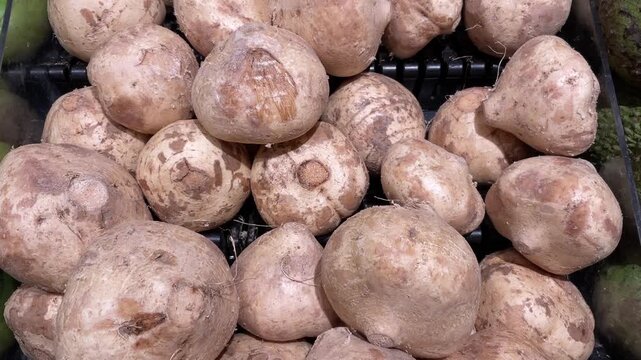 Pachyrhizus erosus, commonly known as jicama although the name most commonly refers to the plant's edible tuberous root. The flavor is sweet and starchy, reminiscent of some apples or raw green beans,