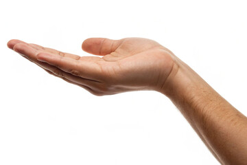 Open human hand gesture showing empty palm on clean white background