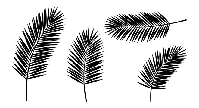 Four black silhouette palm leaves against a stark white background, vector graphic