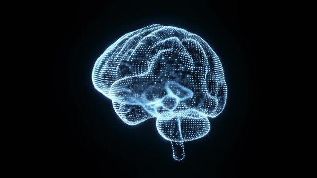 3d render xray style image of human brain rotating. Human brain being formed by revolving particles. Brain connect digital lines, expanding artificial intelligence. X-ray flare Brain, biology