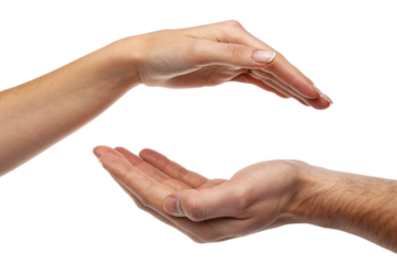 Hands in protective support gesture showing care, safety, protection, giving, offering, trust, support and security with male and female hands isolated on white background, symbol 