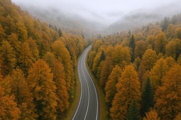 Scenic Autumn Road Through Forest with Colorful Foliage and Misty Mountains in the Background