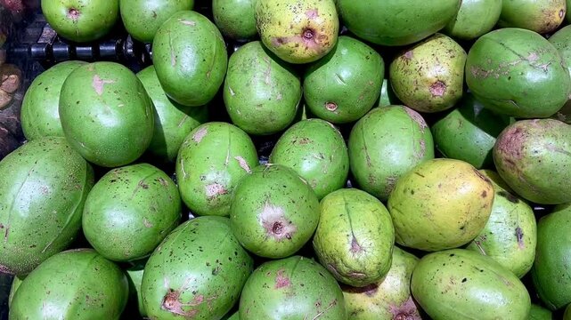 June plum, Spondias dulcis or ambarella edible fruit at the market. Good source of Vitamins and natural antioxidants.