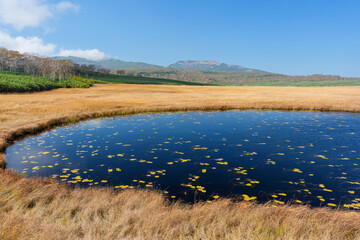 雨竜沼湿原の草紅葉と池塘が広がる秋景色（北海道）