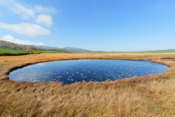 Autumn Marsh Pond and Golden Grass at Uryu-numa Wetland, Hokkaido, Japan